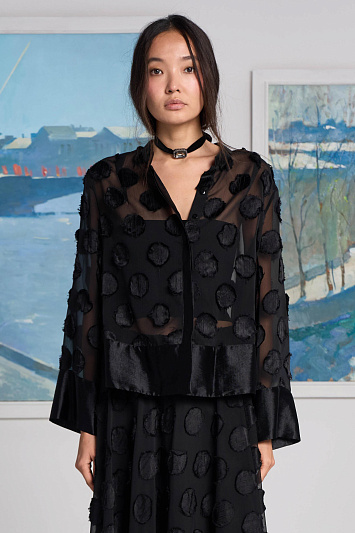 Блуза Прозрачный горох